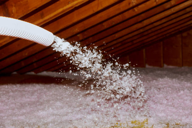 Best Specialized Insulation Services in Bridgeville, DE
