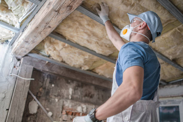 Best Residential Insulation in Bridgeville, DE