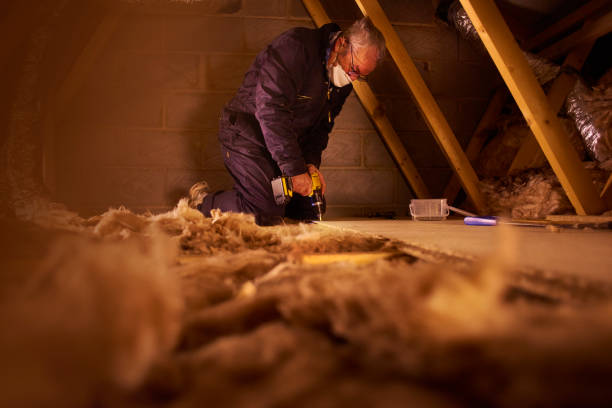 Best Residential Insulation in Bridgeville, DE